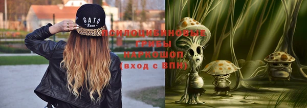 тгк Надым