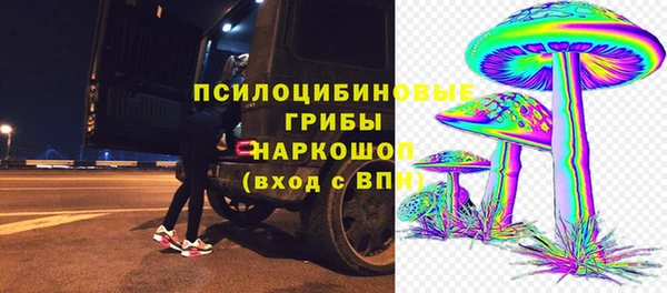 хмурый Алексеевка
