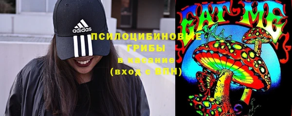 прущая мука Алексин