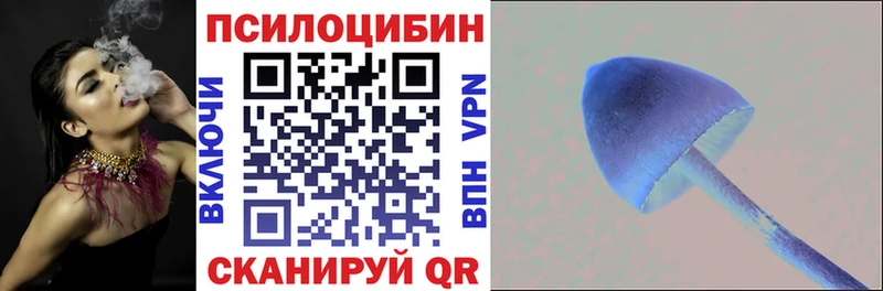 Галлюциногенные грибы Cubensis Саянск